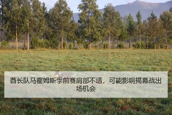 酋长队马霍姆斯季前赛肩部不适，可能影响揭幕战出场机会
